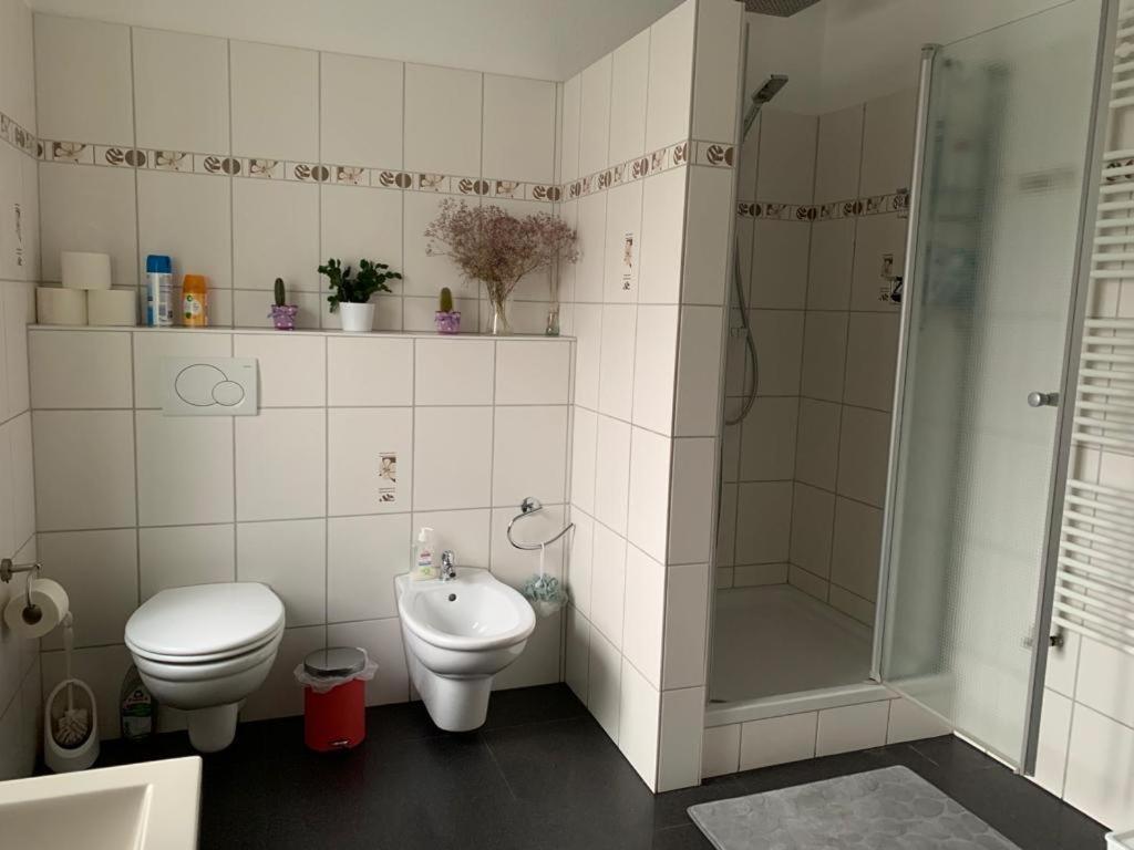 Guenstige Zimmer-Unterkunft Zimmer Mit Gemeinschaftsbad Lörrach Buitenkant foto